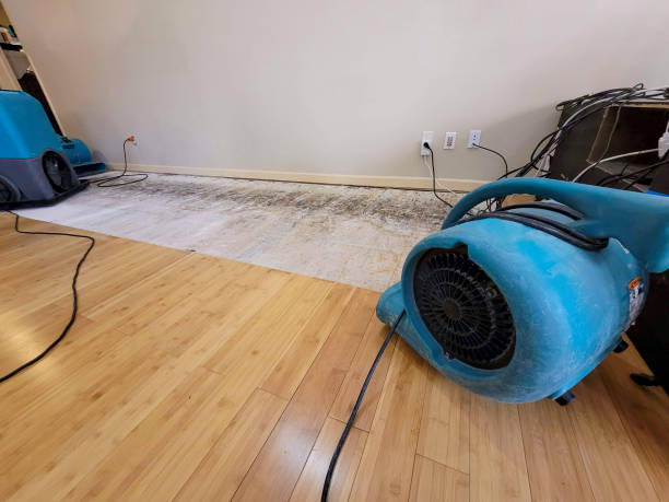Professional Flood Damage Cleanup technician working in Johnson City, TX